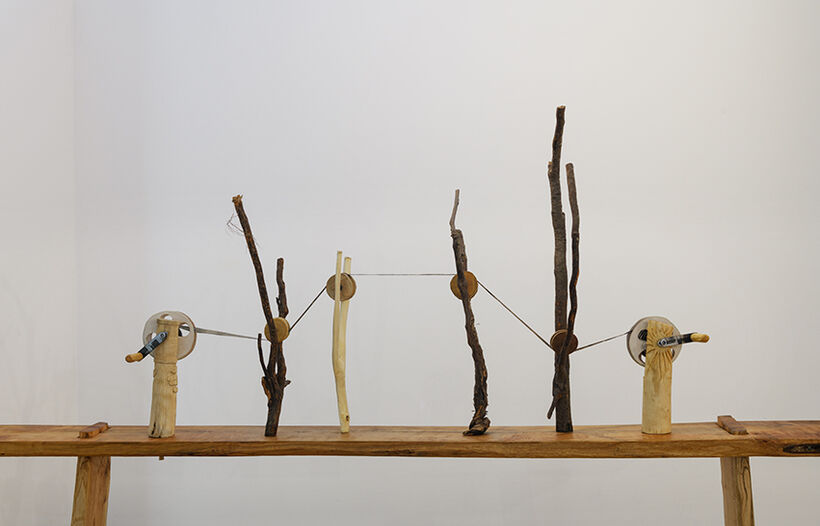 Discrète est la lumière