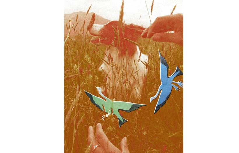 Je bergère, tu bergères...