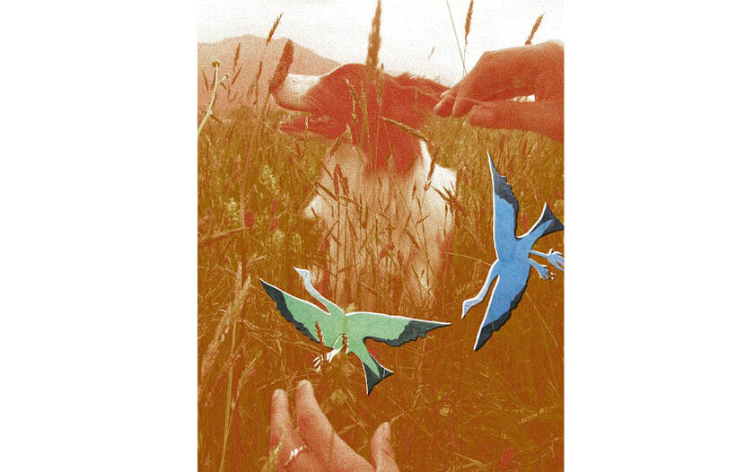 Je bergère, tu bergères...