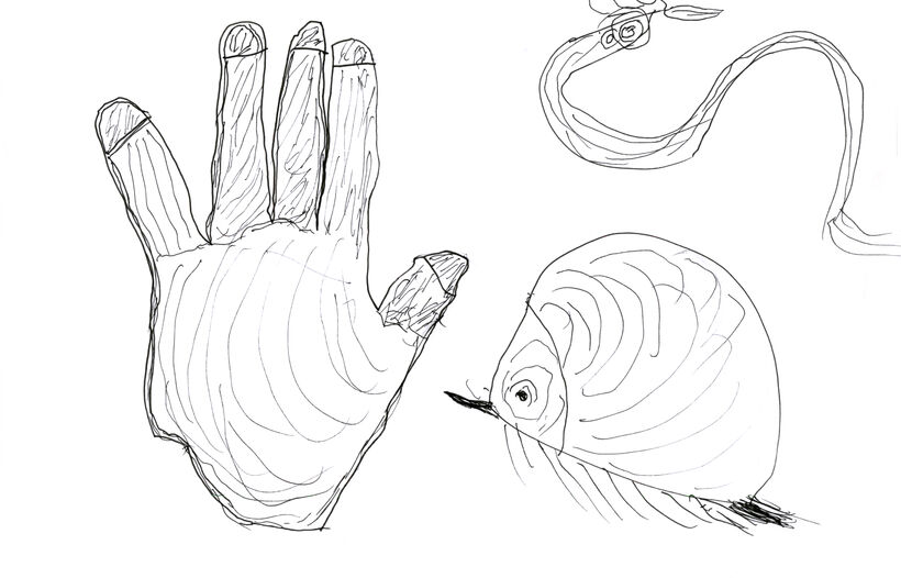 Le pli du ventre cosmique