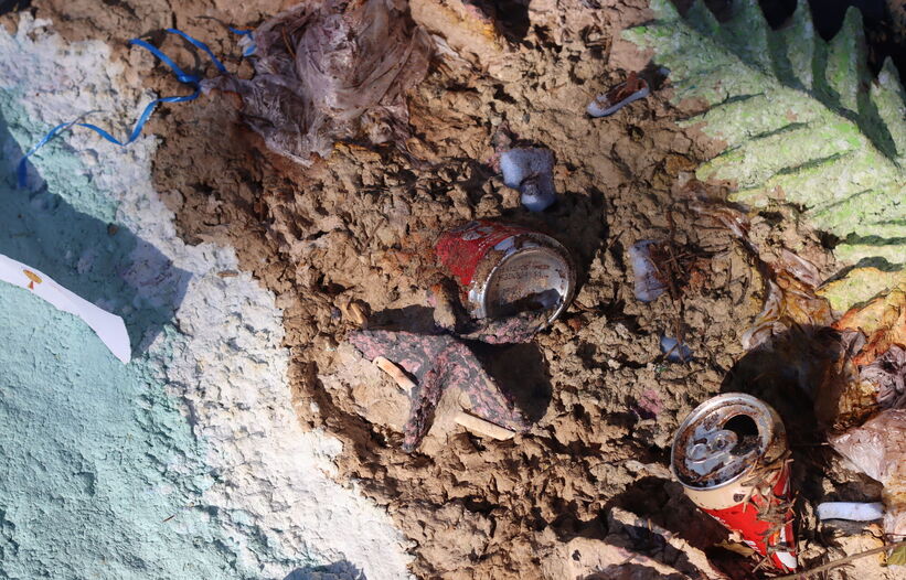 Paysages Camouflages