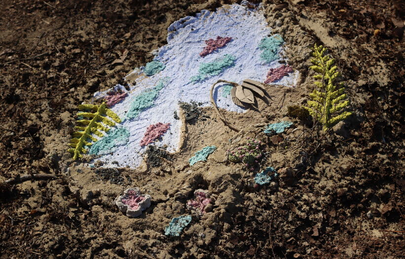 Paysages Camouflages